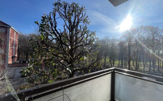 AMPIO 4 LOCALI RISTRUTTURATO – VISTA PARCO, VEDANO AL LAMBRO