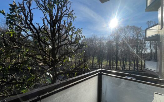 AMPIO 4 LOCALI RISTRUTTURATO – VISTA PARCO, VEDANO AL LAMBRO